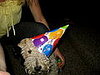 buttercup walked around with that hat on her head for like 20 minutes